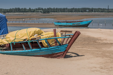 Similar image 8174355