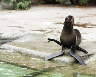 Similar image 8174356