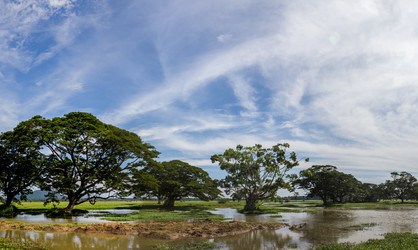 Similar image 8174365