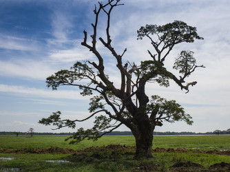 Similar image 8174370