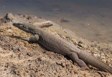 Similar image 8174371