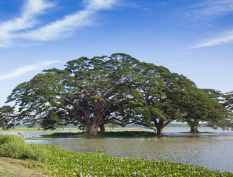 Similar image 8174372