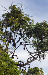 Similar image 8174375