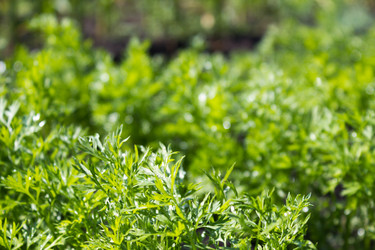 Similar image 8174387