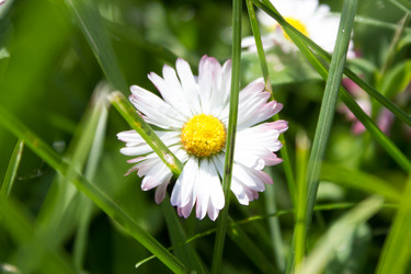 Similar image 8174389