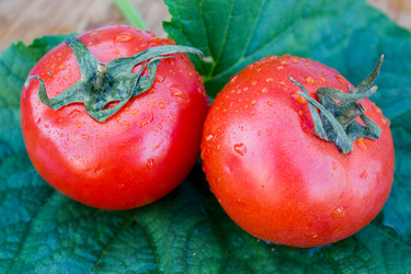 Similar image 8174392