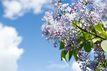 Similar image 8174397