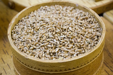 Similar image 8174399