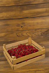 Similar image 8174407