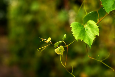 Similar image 8174548