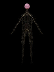 Similar image 8174552