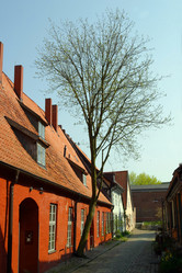 Similar image 8174568