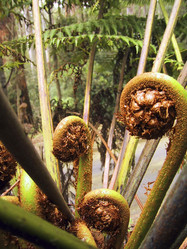 Similar image 8174572