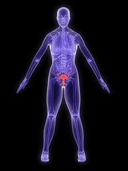 Similar image 8174588