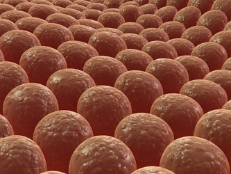 Similar image 8174596