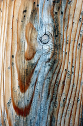 Similar image 8174597