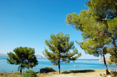 Similar image 8174601