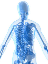 Similar image 8174606