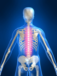 Similar image 8174656