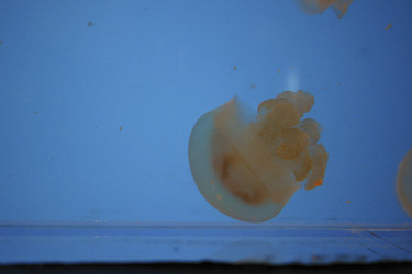 Similar image 8174725