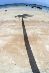 Similar image 8174745