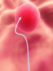 Similar image 8174755