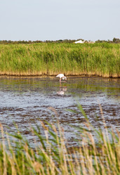 Similar image 8174808