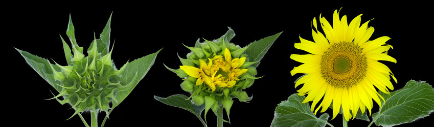 Similar image 8174841