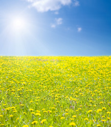 Similar image 8174843