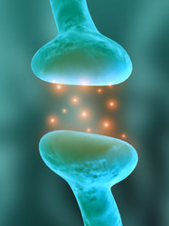 Similar image 8174844