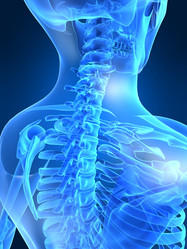 Similar image 8174851