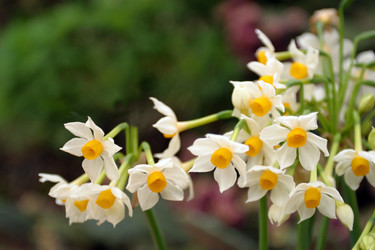 Similar image 8174859