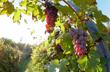 Similar image 8174875