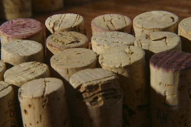 Similar image 8174878