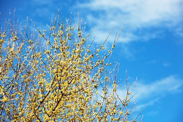 Similar image 8174905