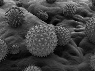 Similar image 8174932