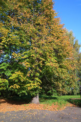 Similar image 8174934