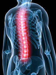 Similar image 8174983