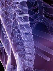 Similar image 8175000