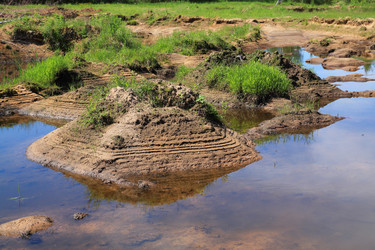 Similar image 8175023