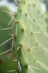 Similar image 8175044