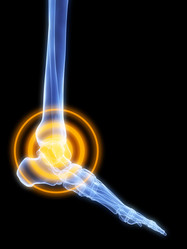 Similar image 8175047