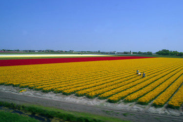 Similar image 8175052