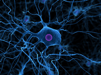 Similar image 8175090