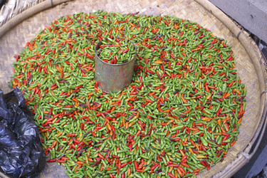 Similar image 8175127