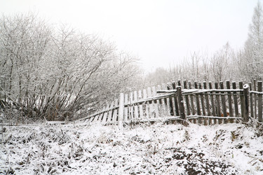 Similar image 8175154