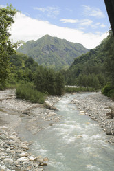 Similar image 8175200