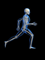 Similar image 8175205