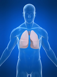 Similar image 8175241