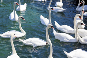 Similar image 8175249